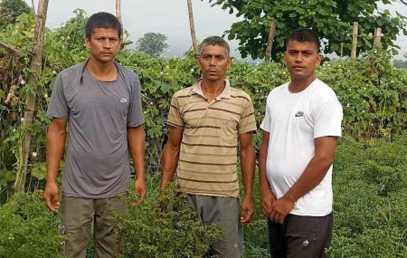 बायाँबाट क्रमशः वीरबहादुर वली, दलबहादुर वली र गोविन्द वली।